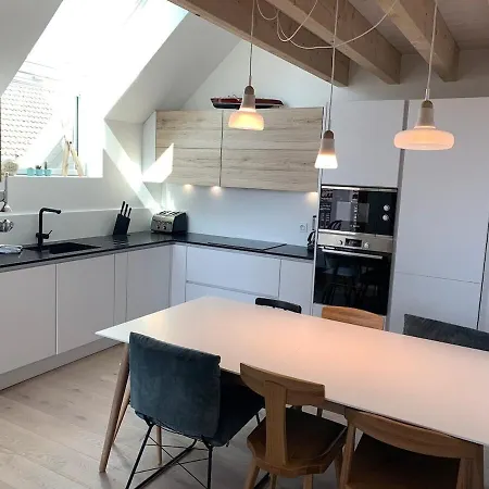 Apartment Duplex Vue Et Montagne A Talloires
